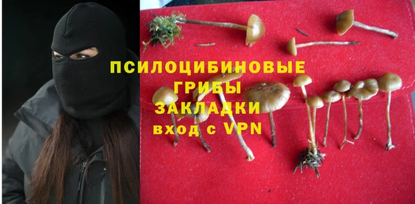 спайс Алексин